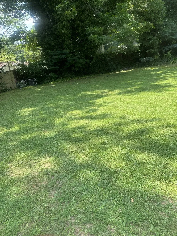 Top-rated yard cleanup service for outdoor upgrades in Atlanta, GA by Daysion Lawn care