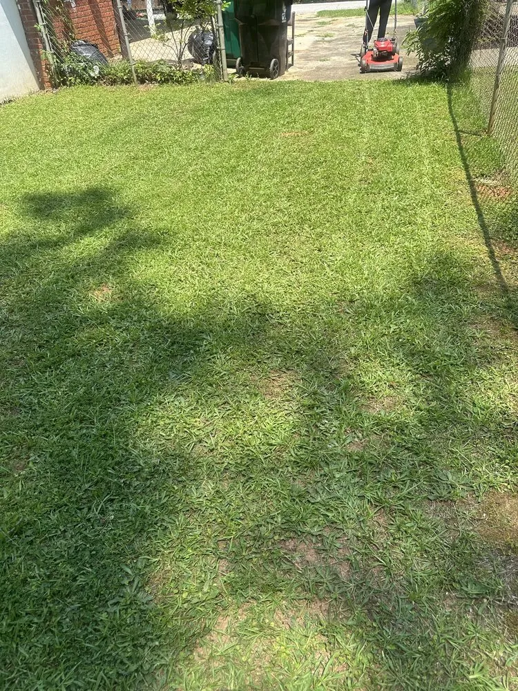 Local outdoor landscaping for beautiful yards across Atlanta, GA - Daysion Lawn care