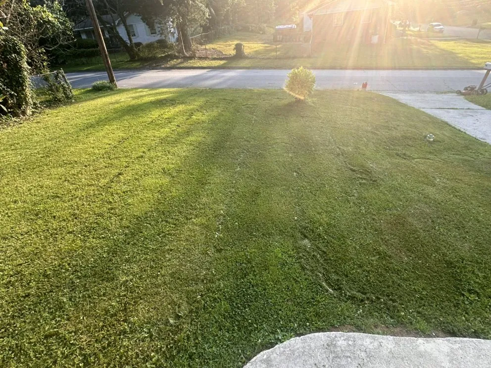 Custom outdoor landscaping with custom design in Atlanta, GA by Daysion Lawn care