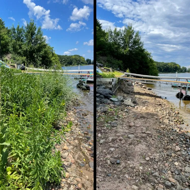 Custom lawn mowing service for year-round maintenance across Chisago City, MN - DaySpring Lakeside Services