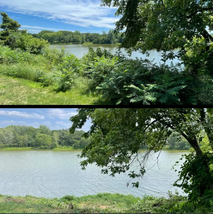 Professional landscape design for residential properties in Chisago City, MN by DaySpring Lakeside Services