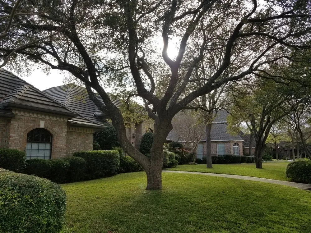 Expert yard maintenance in Cibolo, TX - DaySpring Landscaping, Lawn Care & Tree Trimming