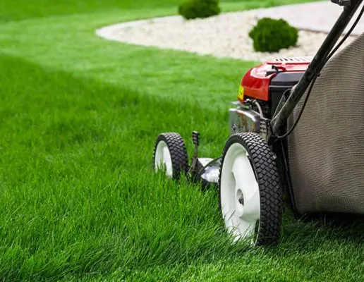 Daytan’s Lawn & Landscapes Logo