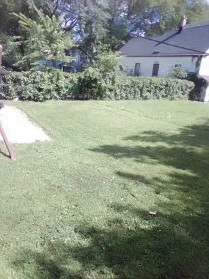 Dayton Landscaping Logo