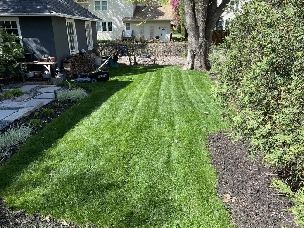 Trusted landscaping services in Saint Paul, MN - Dayton Lawn & Snow