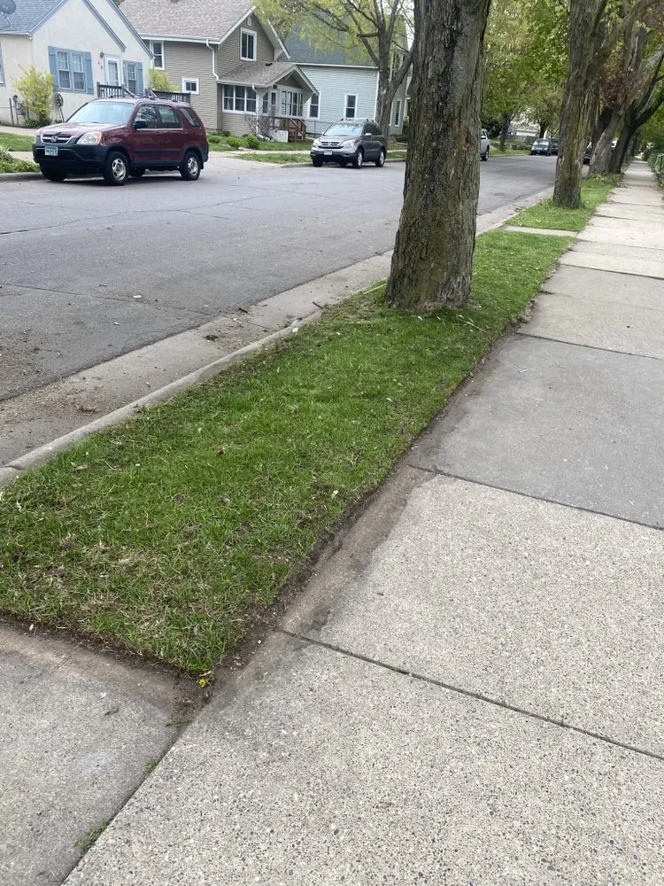 Expert yard cleanup service for residential properties in Saint Paul, MN by Dayton Lawn & Snow