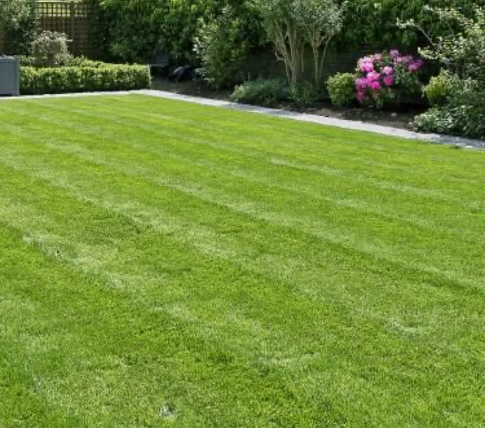 Custom garden landscaping for outdoor upgrades in Milwaukee, WI by Dayton Mows