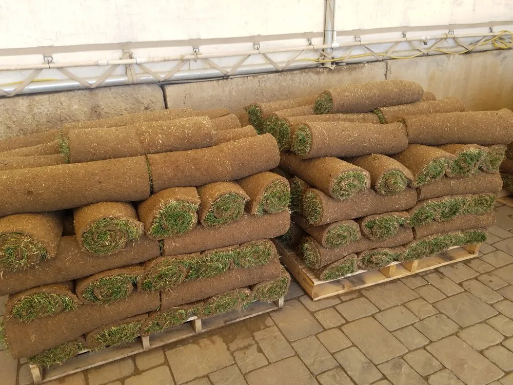 Affordable lawn mowing service for residential properties across Reno, NV - Dayton Valley Turf