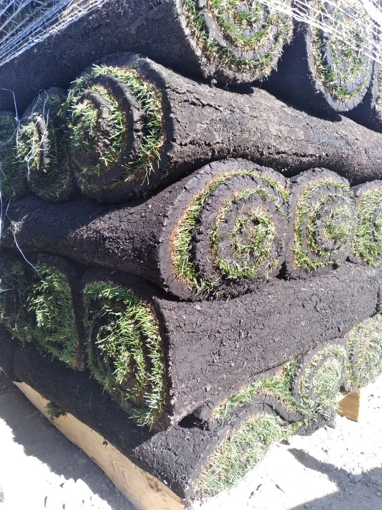 Custom outdoor landscaping for residential properties across Reno, NV - Dayton Valley Turf