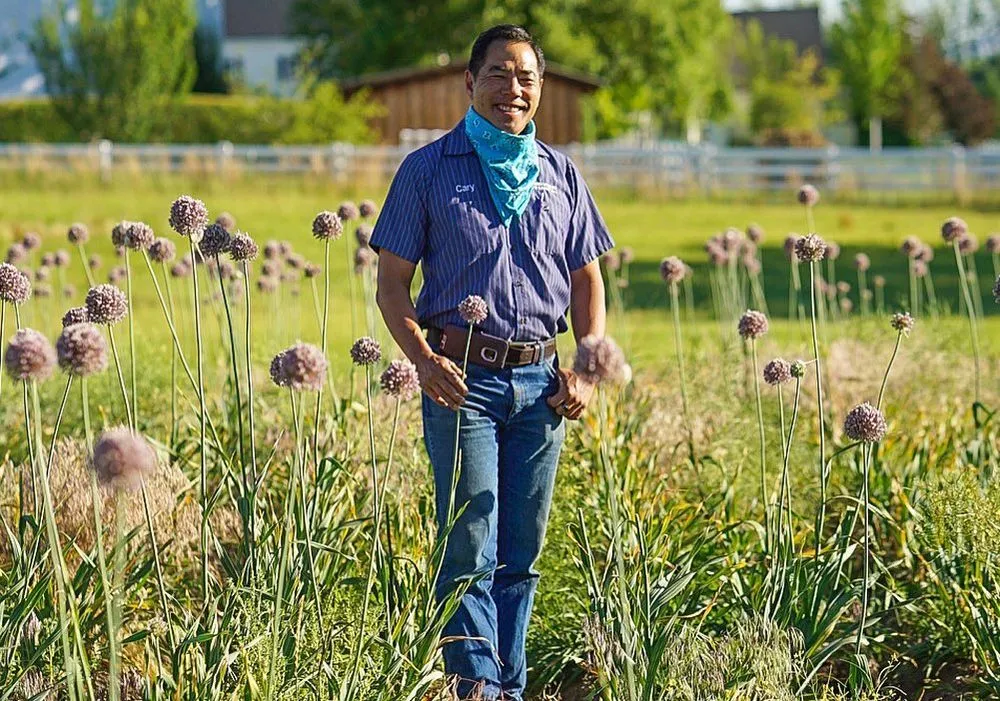 Reliable residential landscaping in Reno, NV - Dayton Valley Turf