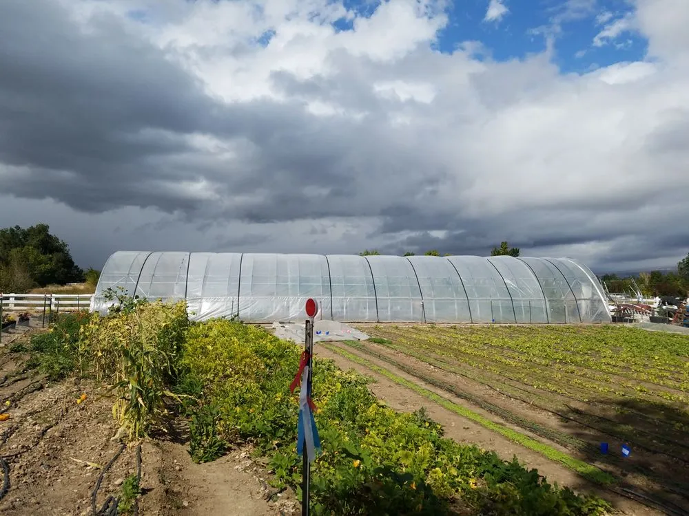 Top-rated yard maintenance in Reno, NV by Dayton Valley Turf