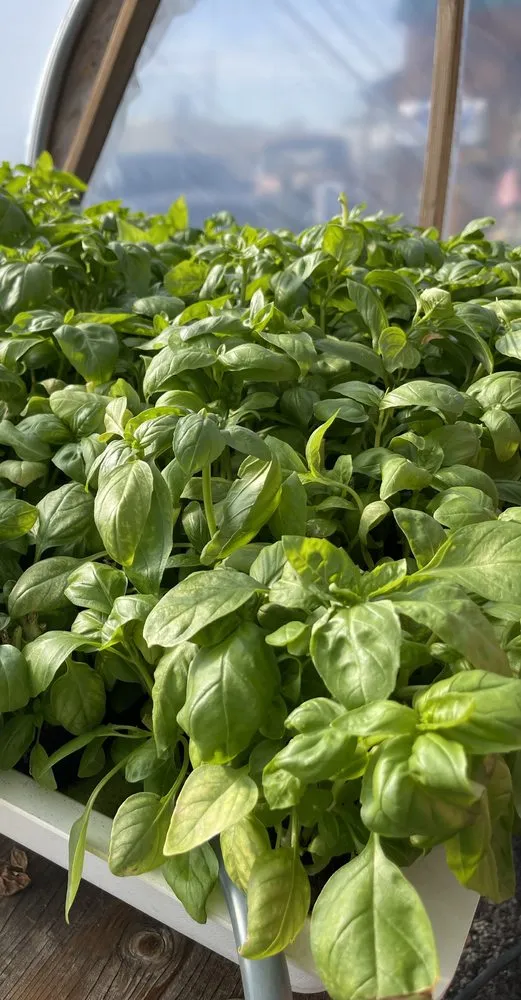 Custom landscaping services for beautiful yards across Reno, NV - Dayton Valley Turf