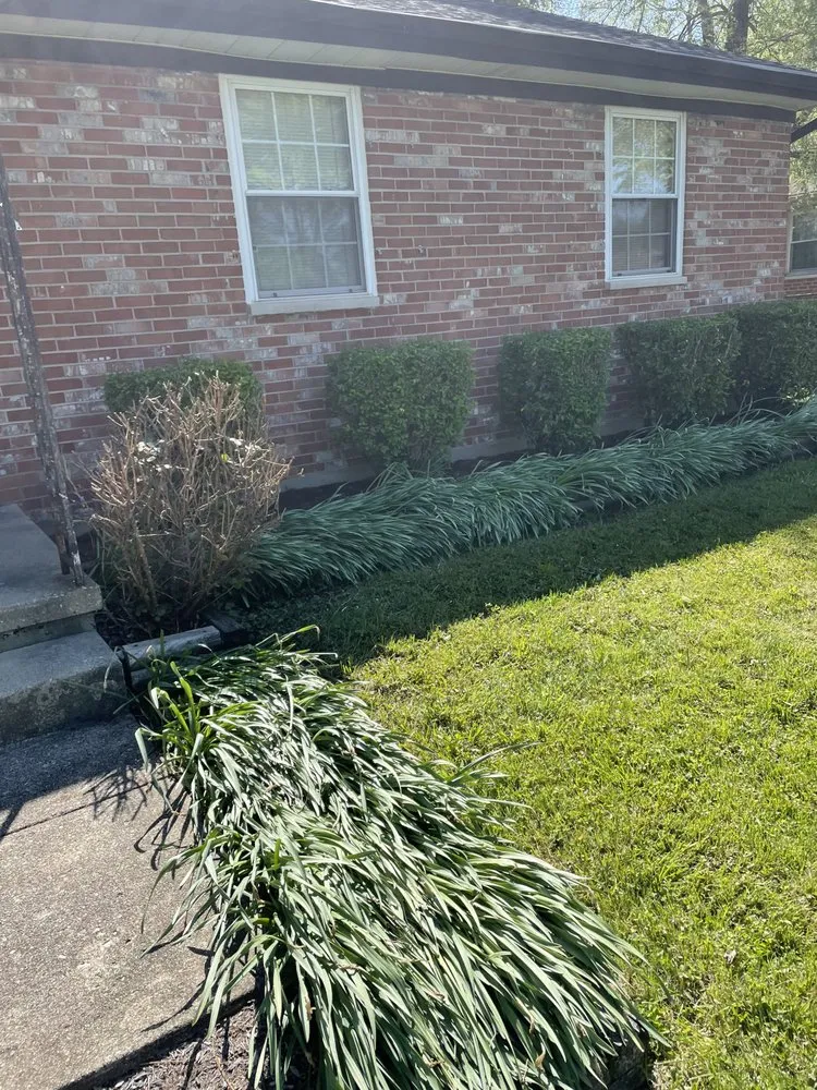 Trusted residential landscaping for beautiful yards in Dayton, OH by Dayton Yard Sharks