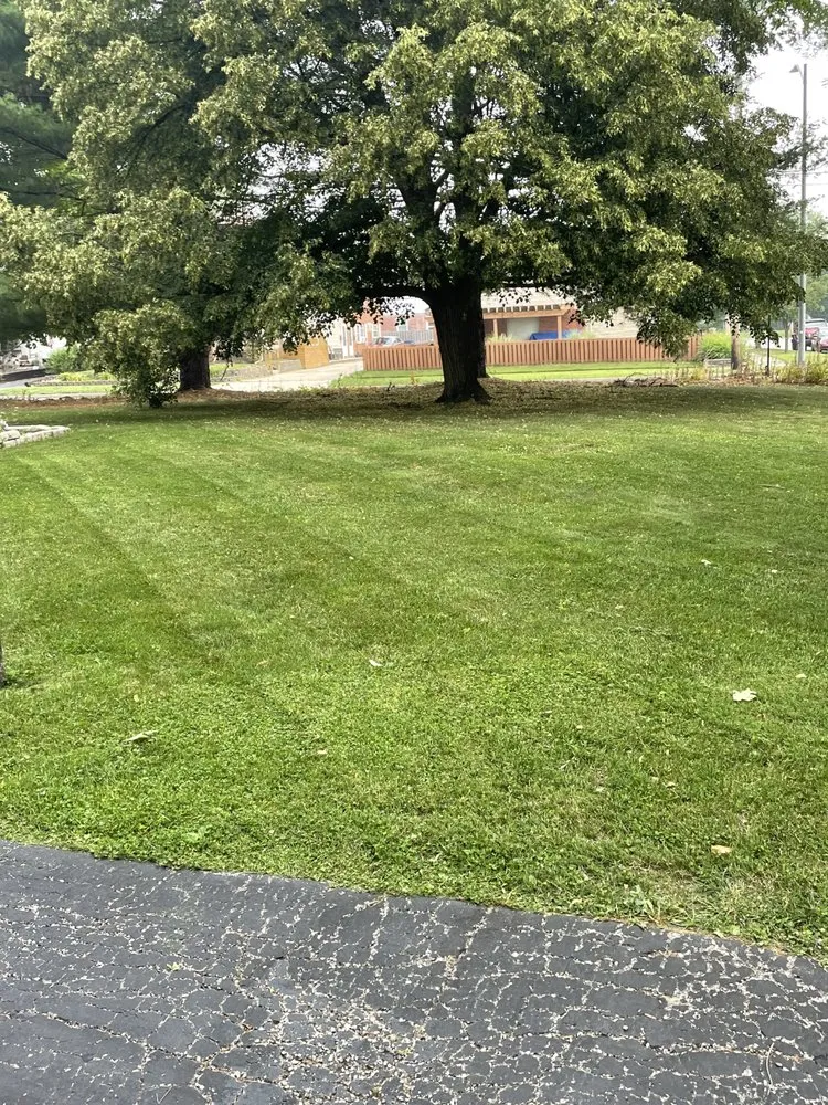 Expert lawn care service for beautiful yards across Dayton, OH - Dayton Yard Sharks