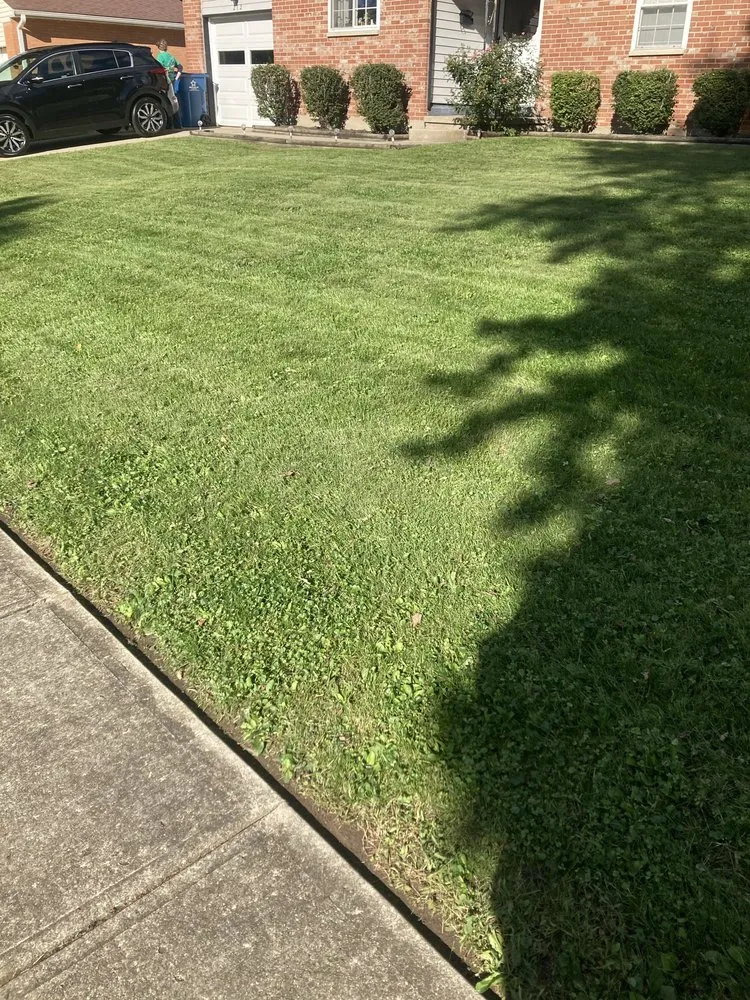 Local yard maintenance in Dayton, OH - Dayton Yard Sharks