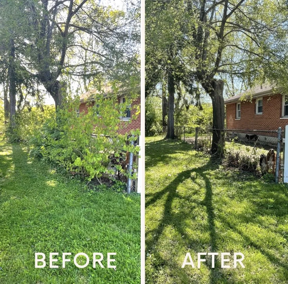 Custom outdoor landscaping in Dayton, OH - Dayton Yard Sharks