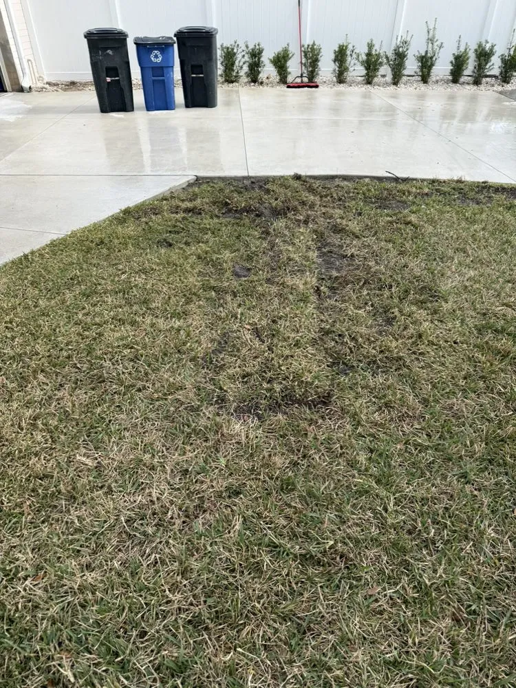 Professional landscaping services experts serving Ormond Beach, FL - Daytona Irrigation