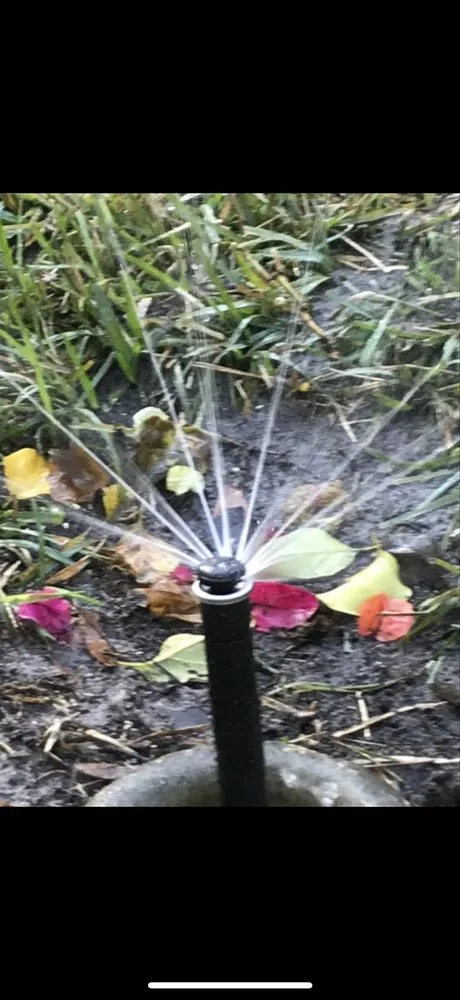 Trusted yard cleanup service in Ormond Beach, FL by Daytona Irrigation