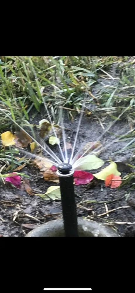 Trusted landscape design in Ormond Beach, FL by Daytona Irrigation