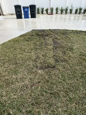 Daytona Irrigation Logo