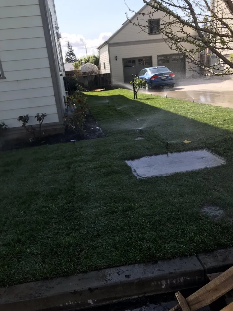 Custom lawn care service for homes in Hayward, CA by Díaz Landscaping