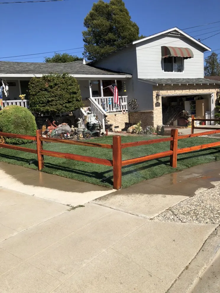 Local yard cleanup service for year-round maintenance across Hayward, CA - Díaz Landscaping