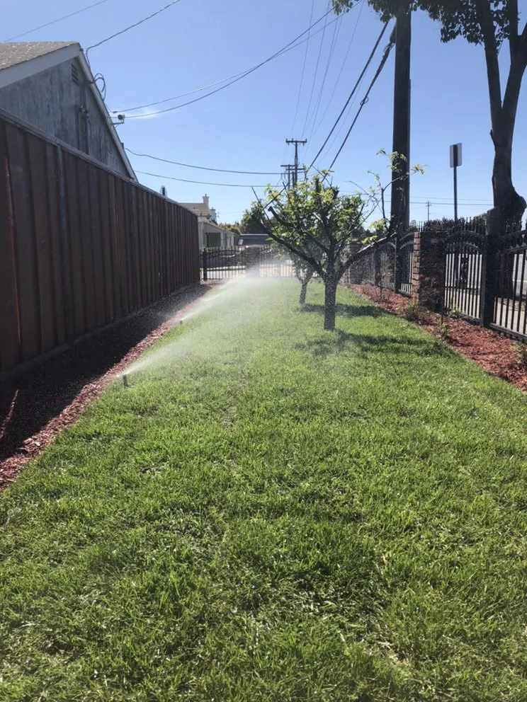 Trusted residential landscaping in Hayward, CA - Díaz Landscaping