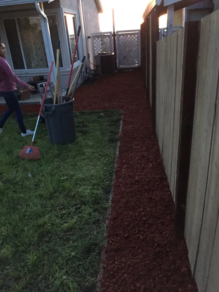 Professional yard cleanup service in Hayward, CA - Díaz Landscaping