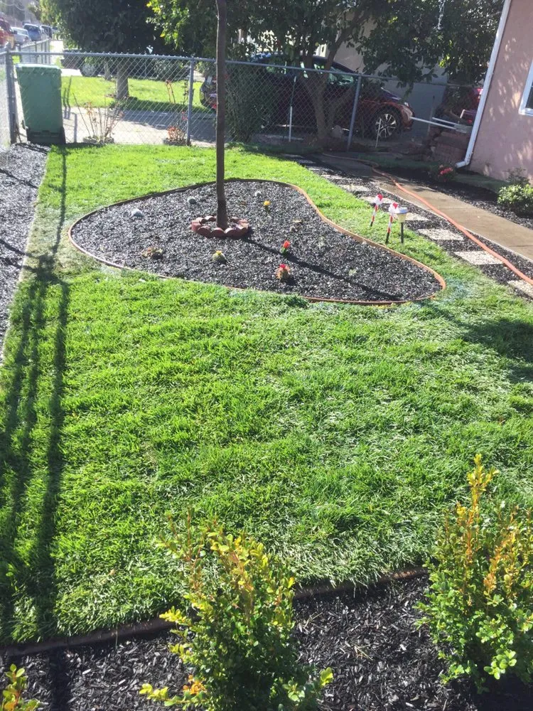 Custom lawn care service for homes in Hayward, CA by Díaz Landscaping