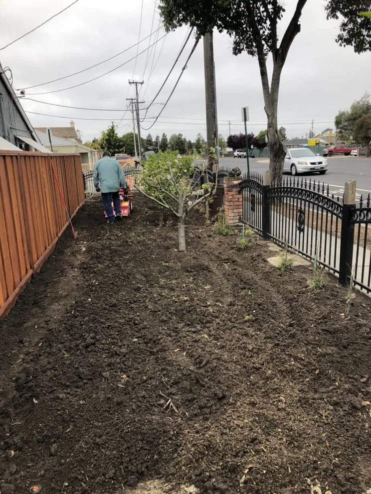 Top-rated lawn care service in Hayward, CA by Díaz Landscaping