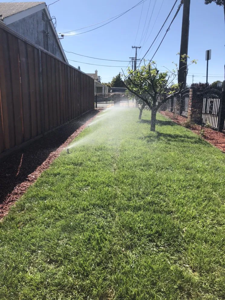 Top-rated landscape installation for homes in Hayward, CA by Díaz Landscaping
