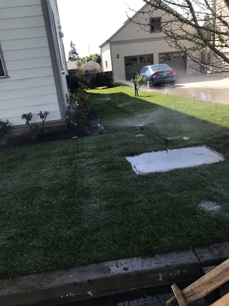 Professional yard cleanup service for residential properties in Hayward, CA by Díaz Landscaping