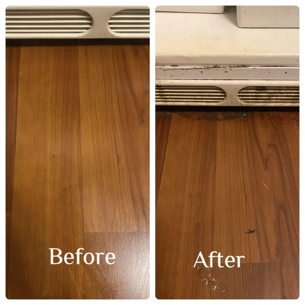 Expert landscape installation experts serving Norristown, PA - Dazzling Detailers