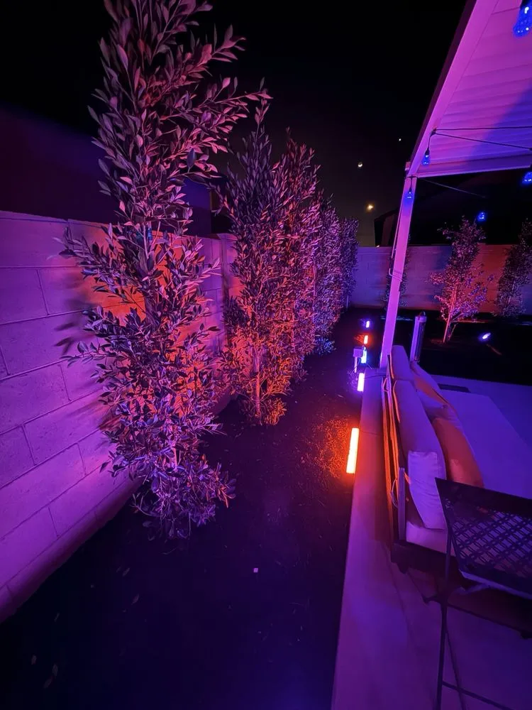 Trusted yard maintenance experts serving Phoenix, AZ - Dazzling Landscapes