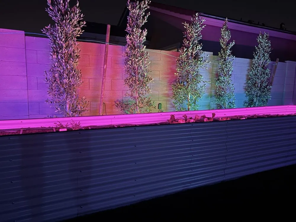 Local landscaping services in Phoenix, AZ by Dazzling Landscapes