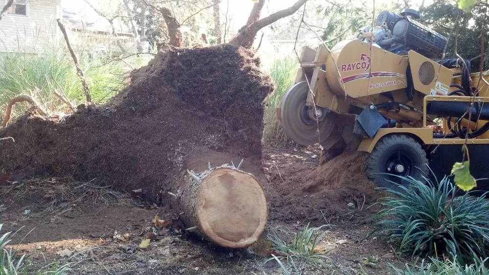 Trusted landscaping services in Basking Ridge, NJ by DB & Sons Stump Grinding