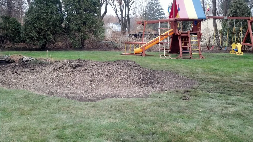 Trusted yard maintenance in Basking Ridge, NJ by DB & Sons Stump Grinding