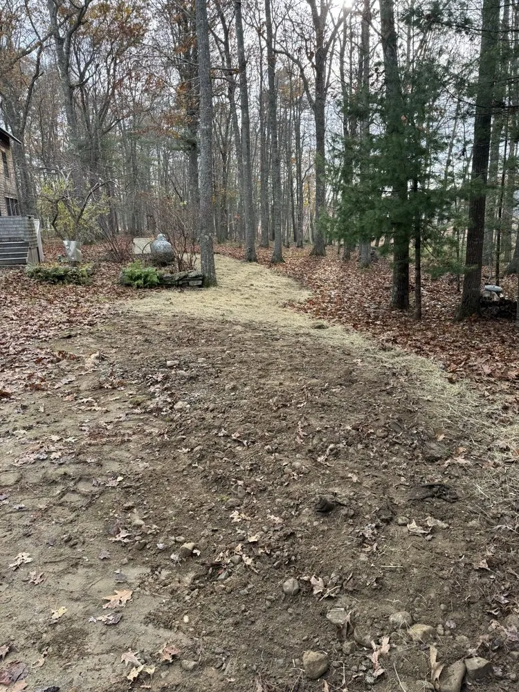 Local yard cleanup service in Durham, ME - DB Enterprise Excavation & Landscaping