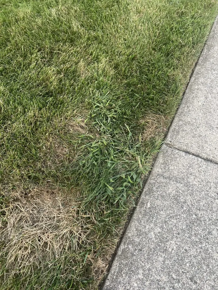 Custom landscape installation for outdoor upgrades across Livonia, MI - D&B Greener