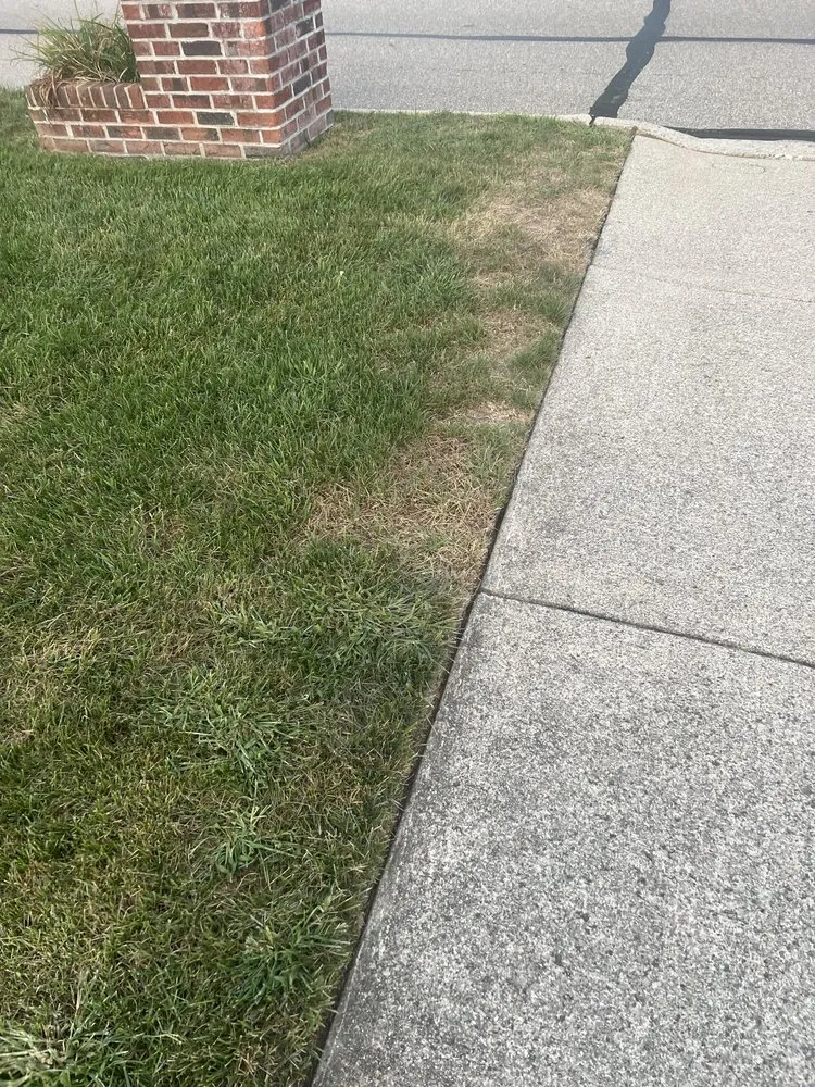 Custom lawn care service in Livonia, MI by D&B Greener