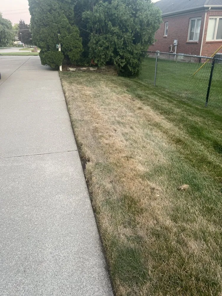 Top-rated landscape installation in Livonia, MI - D&B Greener