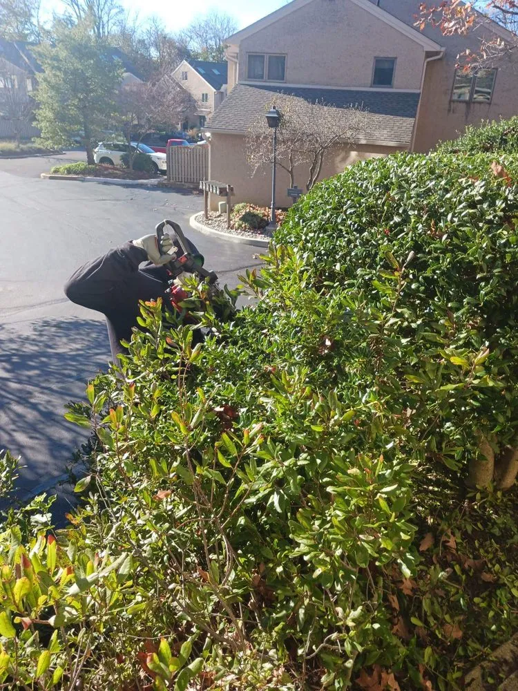 Affordable residential landscaping experts serving Schwenksville, PA - D&B Grounds Maintenance