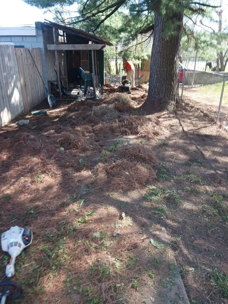 Local residential landscaping with custom design across Schwenksville, PA - D&B Grounds Maintenance