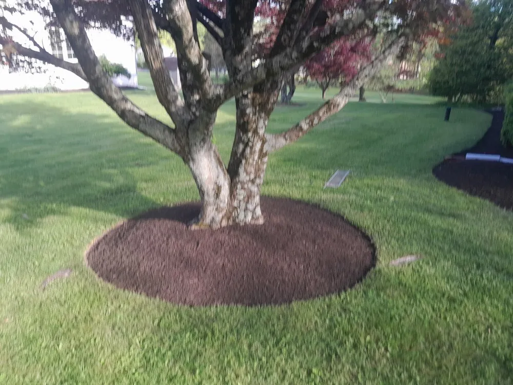 Professional lawn mowing service in Schwenksville, PA - D&B Grounds Maintenance