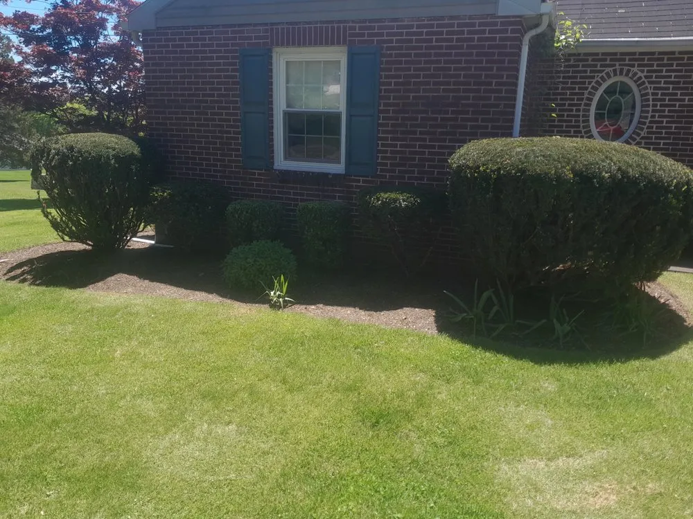 Custom lawn care service experts serving Schwenksville, PA - D&B Grounds Maintenance