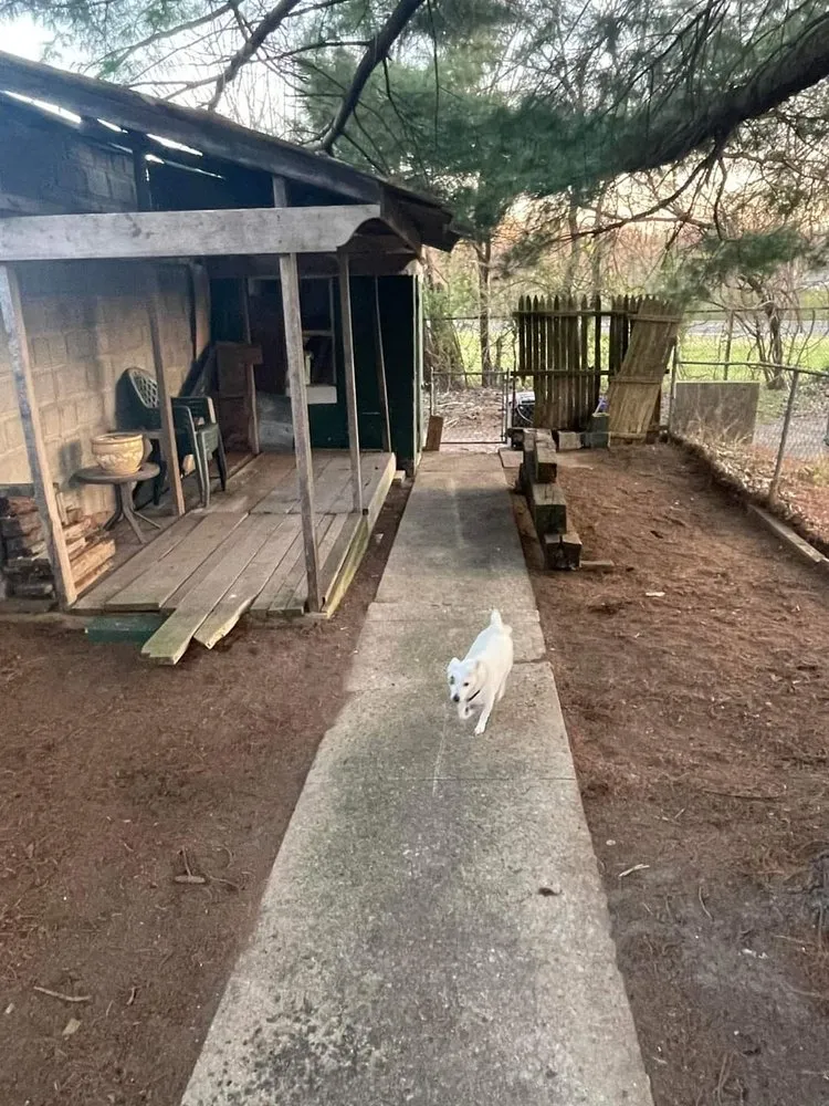 Top-rated landscape design near you across Schwenksville, PA - D&B Grounds Maintenance