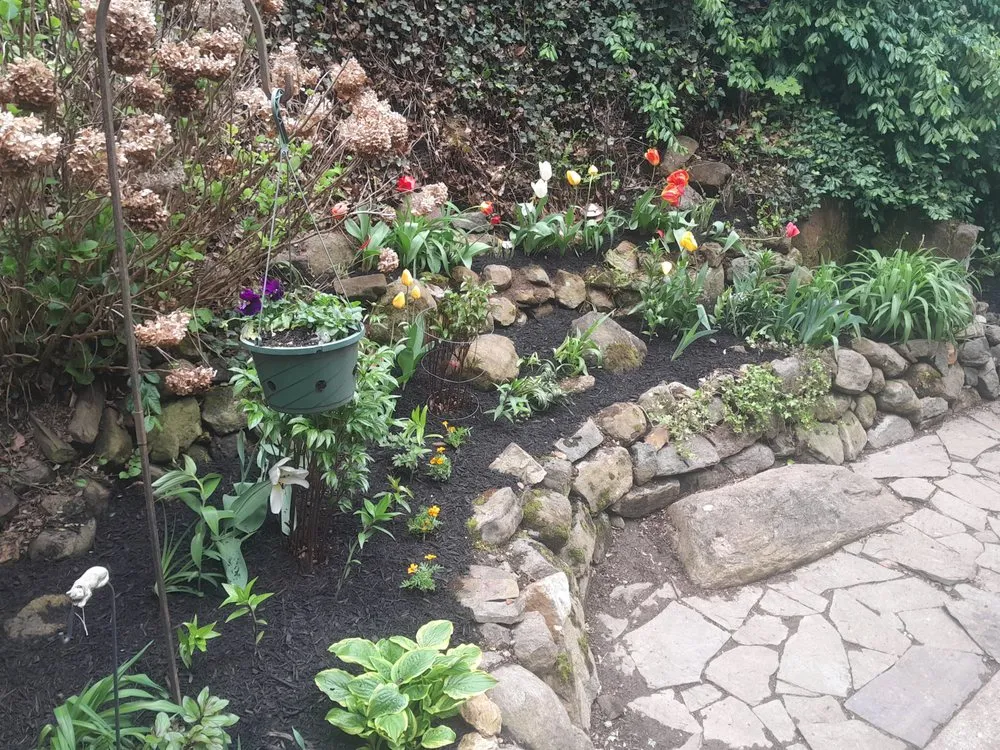 Custom yard cleanup service for residential properties across Schwenksville, PA - D&B Grounds Maintenance