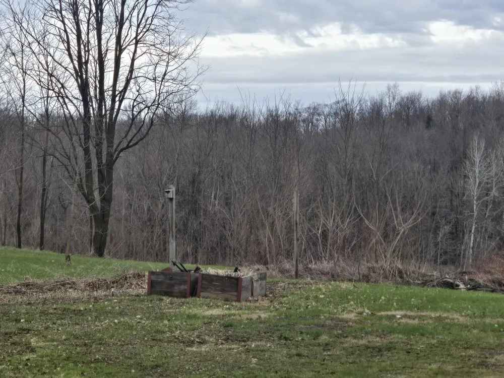 Trusted yard maintenance experts serving Oneida, NY - D&B Handyman