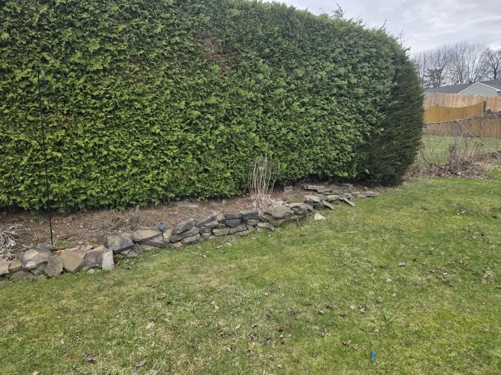 Reliable lawn care service for beautiful yards in Oneida, NY by D&B Handyman