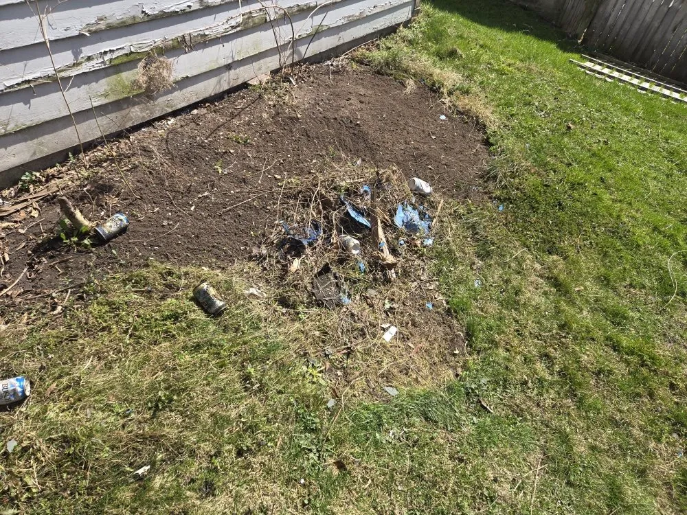 Top-rated yard cleanup service experts serving Oneida, NY - D&B Handyman